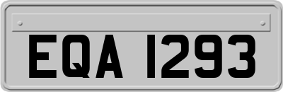 EQA1293