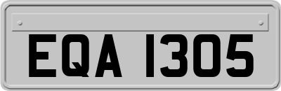 EQA1305