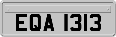 EQA1313