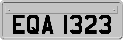 EQA1323