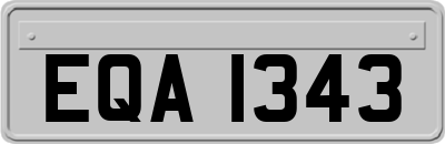 EQA1343