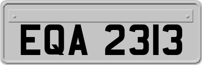 EQA2313