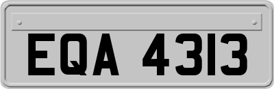 EQA4313