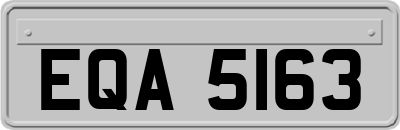 EQA5163