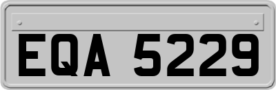 EQA5229