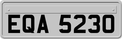 EQA5230