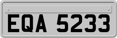 EQA5233