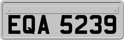 EQA5239