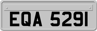 EQA5291