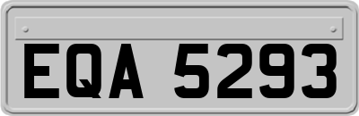 EQA5293