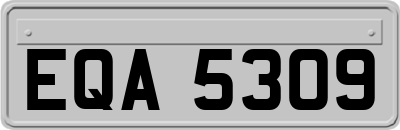 EQA5309