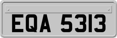 EQA5313