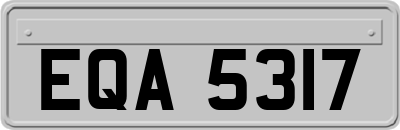 EQA5317