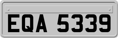 EQA5339