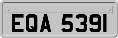 EQA5391
