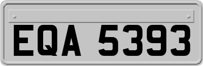 EQA5393