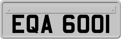 EQA6001