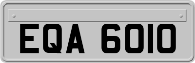 EQA6010