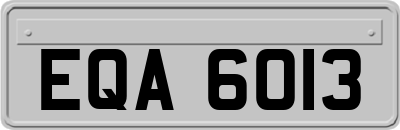 EQA6013