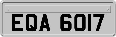 EQA6017