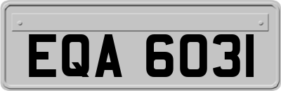 EQA6031