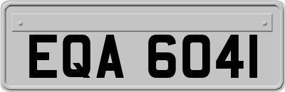 EQA6041
