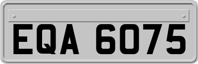 EQA6075