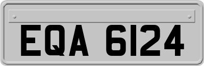 EQA6124