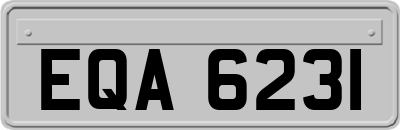 EQA6231