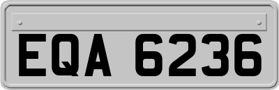 EQA6236