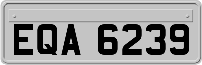 EQA6239