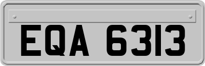 EQA6313