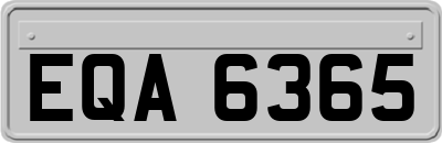EQA6365