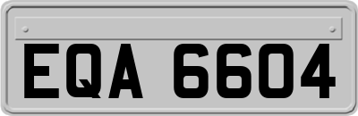 EQA6604