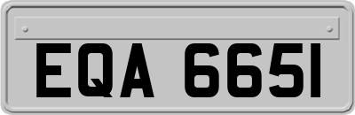 EQA6651