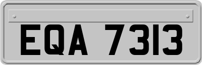 EQA7313