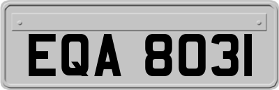 EQA8031
