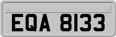EQA8133