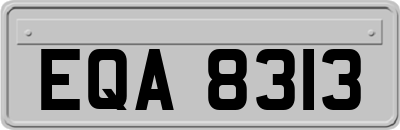 EQA8313
