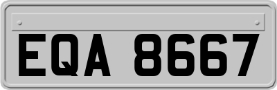 EQA8667