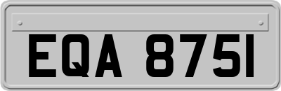 EQA8751