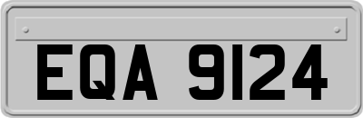 EQA9124