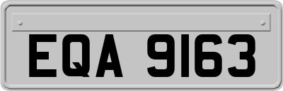EQA9163