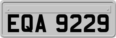 EQA9229