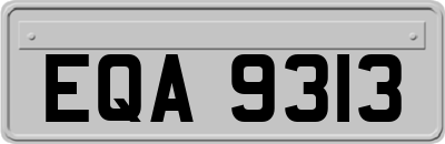 EQA9313