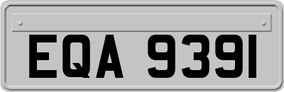 EQA9391
