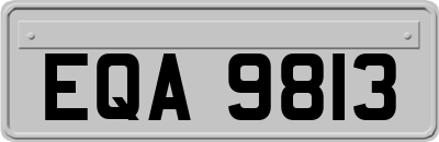 EQA9813