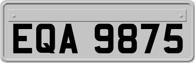 EQA9875