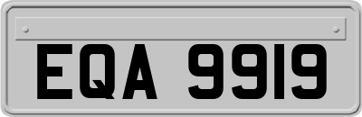 EQA9919