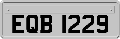 EQB1229